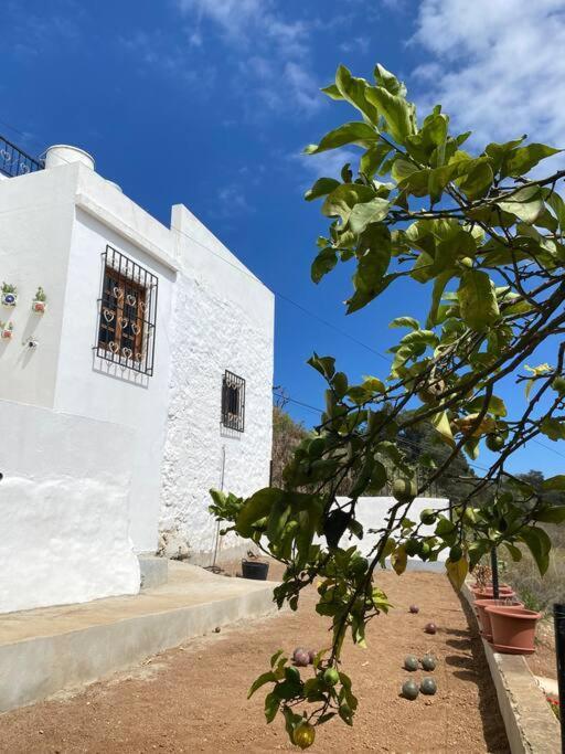 Casa Aya Βίλα Teror Εξωτερικό φωτογραφία